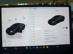 Tesla Model 3 Rear-Wheel Drive - ფოტო 5