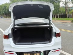 BYD Qin PLUS DM-i Smart Drive Edition 55KM Leading - ფოტო 12