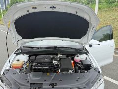 BYD Qin PLUS DM-i Smart Drive Edition 55KM Leading - ფოტო 13