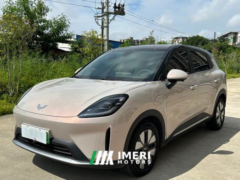 2026 Wuling Bingguo S 2025 325km Deluxe Edition - ავტომობილი ჩინეთიდან