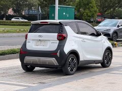 Chery Ant Sweet Pink Half-Sugar Phosphate Iron Lithium 30kW 301km - ფოტო 9
