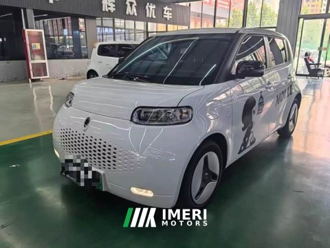 2021 ORA White Cat 2020 401km Long Range - ავტომობილი ჩინეთიდან