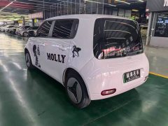 ORA White Cat 2020 401km Long Range - ფოტო 7