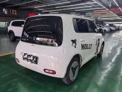 ORA White Cat 2020 401km Long Range - ფოტო 9