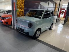 Geely Panda Mini 200km Endurance Edition - ფოტო 1