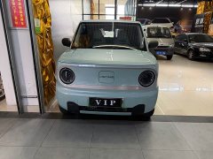 Geely Panda Mini 200km Endurance Edition - ფოტო 2