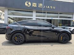 Tesla Model Y Rear-Wheel Drive - ფოტო 3