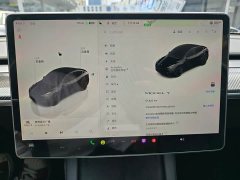 Tesla Model Y Rear-Wheel Drive - ფოტო 9