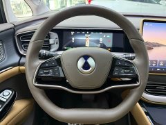 Denza D9 2022 DM-i 970 AWD Flagship - ფოტო 9