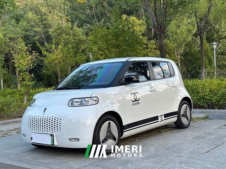 ORA White Cat 2020 401km Long Range - ავტომობილი ჩინეთიდან