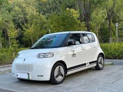 ORA White Cat 2020 401km Long Range - ფოტო 1