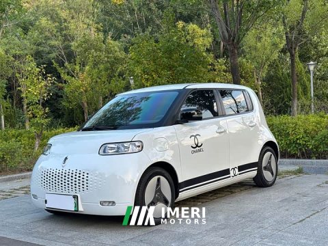 2021 ORA White Cat 2020 401km Long Range - ავტომობილი ჩინეთიდან