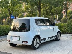 ORA White Cat 2020 401km Long Range - ფოტო 11