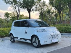 ORA White Cat 2020 401km Long Range - ფოტო 2