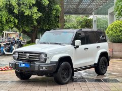 Tank 300 City Edition 2.0T Stylish - ფოტო 1
