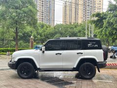 Tank 300 City Edition 2.0T Stylish - ფოტო 9