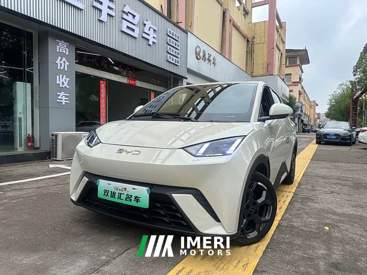 BYD Seagull Smart Driving Edition 305km Freedom Edition - ავტომობილი ჩინეთიდან