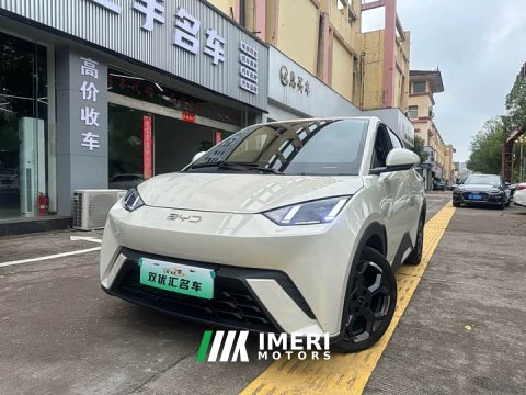 2025 BYD Seagull Smart Driving Edition 305km Freedom Edition - ავტომობილი ჩინეთიდან