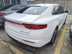 Geely Xingrui 2023 1.5T Diesel Fuyao Edition - ფოტო 16