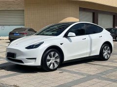 Tesla Model Y Long Range All-Wheel Drive - ფოტო 1