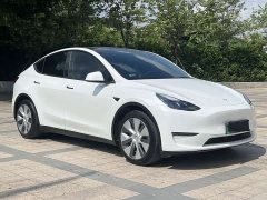 Tesla Model Y Long Range All-Wheel Drive - ფოტო 2