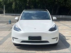 Tesla Model Y Long Range All-Wheel Drive - ფოტო 3
