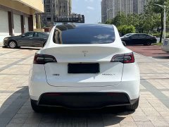 Tesla Model Y Long Range All-Wheel Drive - ფოტო 5