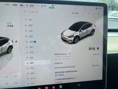 Tesla Model Y Long Range All-Wheel Drive - ფოტო 9