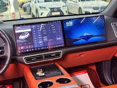Li Auto L6 Pro - ფოტო 12