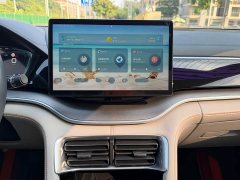 BYD Song Plus New Energy EV Premier - ფოტო 13