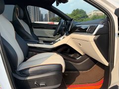 BYD Song Plus New Energy EV Premier - ფოტო 18