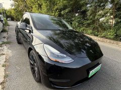 Tesla Model Y Standard Range RWD - ფოტო 3