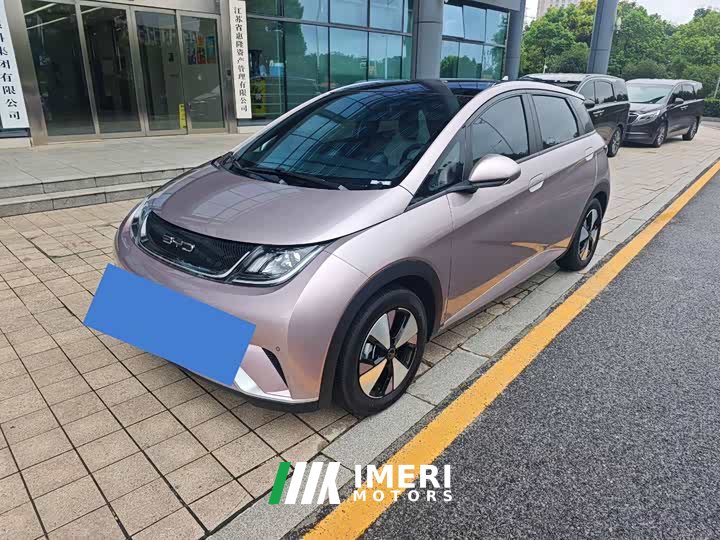 BYD Dolphin 420km Fashion Edition - ავტომობილი ჩინეთიდან