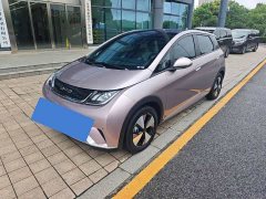 BYD Dolphin 420km Fashion Edition - ფოტო 1