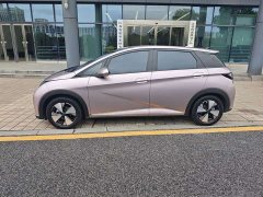 BYD Dolphin 420km Fashion Edition - ფოტო 2