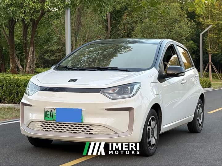 Flower Fairy 302km Luxury 30.2kWh
