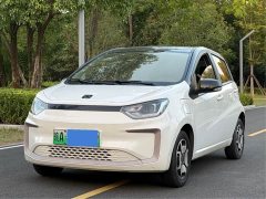 Flower Fairy 302km Luxury 30.2kWh - photo 1