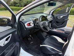 Flower Fairy 302km Luxury 30.2kWh - photo 10