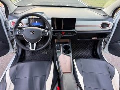 Flower Fairy 302km Luxury 30.2kWh - photo 14