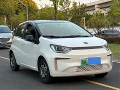 Flower Fairy 302km Luxury 30.2kWh - photo 3