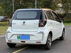 Flower Fairy 302km Luxury 30.2kWh - photo 4