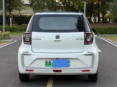 Flower Fairy 302km Luxury 30.2kWh - photo 5