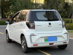 Flower Fairy 302km Luxury 30.2kWh - photo 6