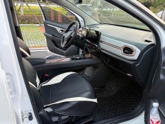 Flower Fairy 302km Luxury 30.2kWh - photo 8