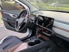Flower Fairy 302km Luxury 30.2kWh - photo 9