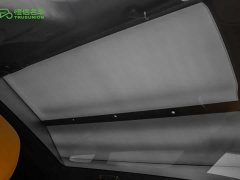 XPeng G9 725 Max - ფოტო 20