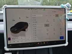Tesla Model Y Rear-Wheel Drive - ფოტო 20