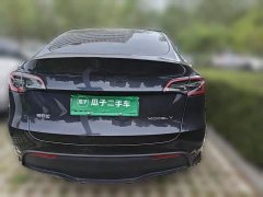 Tesla Model Y Rear-Wheel Drive - ფოტო 3