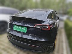 Tesla Model Y Rear-Wheel Drive - ფოტო 4