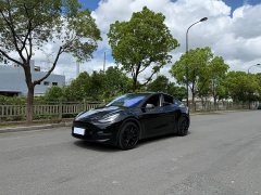 Tesla Model Y Standard Range RWD - ფოტო 1